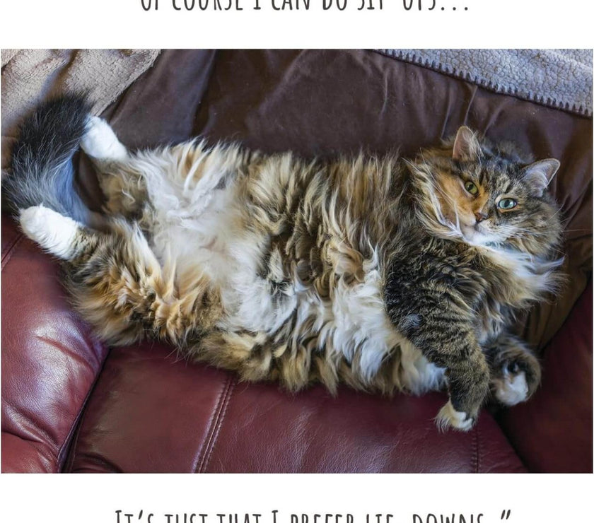 Sit Ups Birthday Card