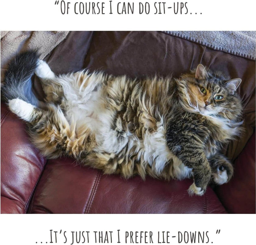 Sit Ups Birthday Card