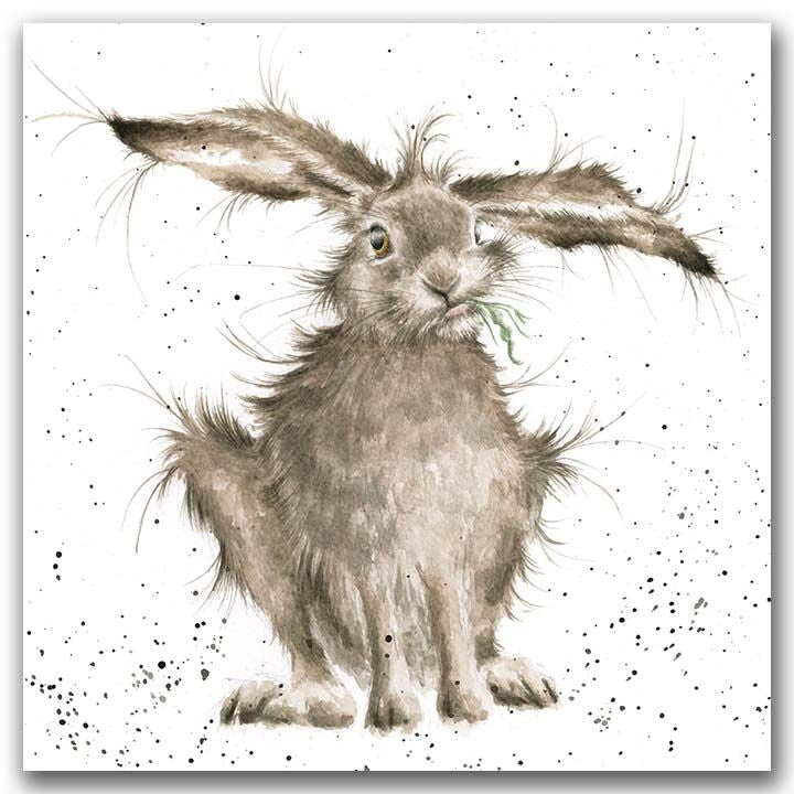 Hare Brained