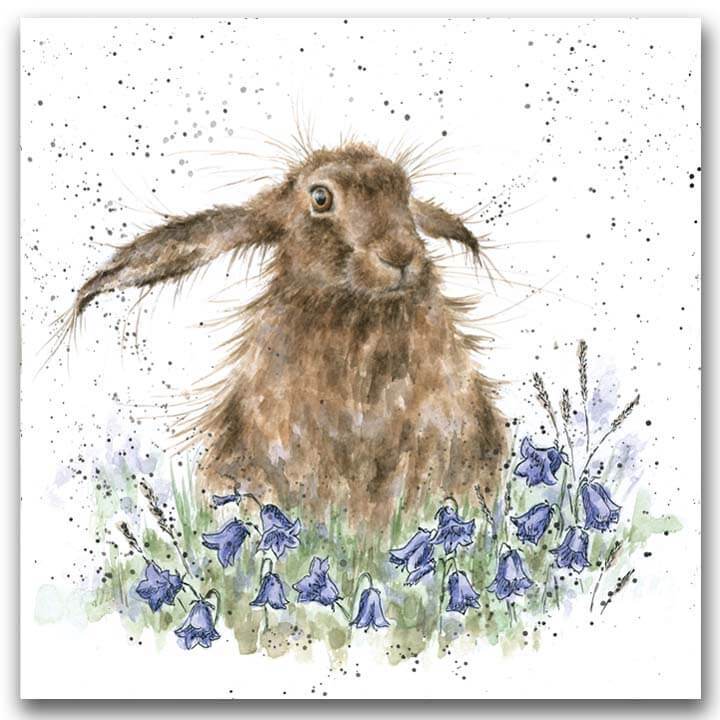 Bright Eyes - House of Cards