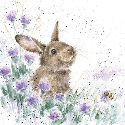 The Meadow