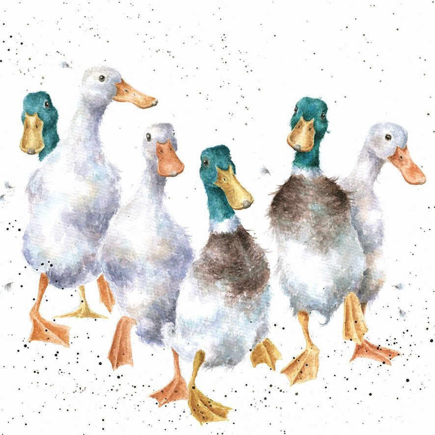 Quackers