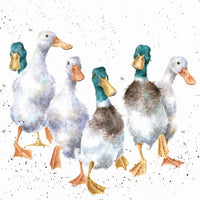 Quackers