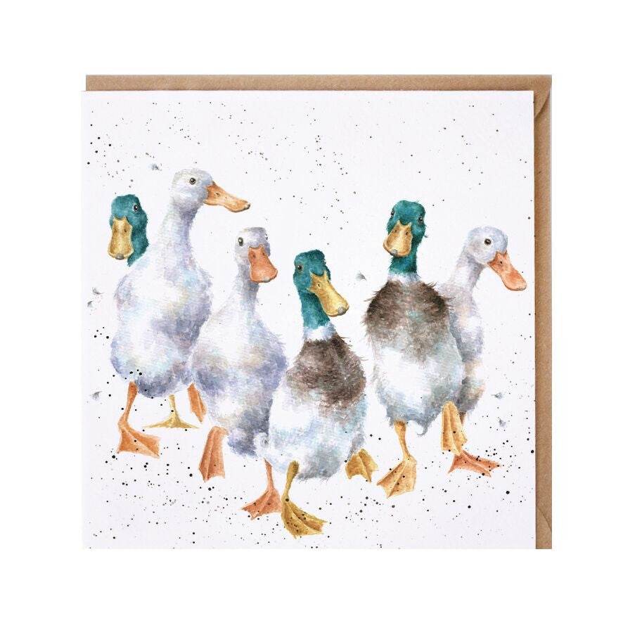 Quackers - House of Cards