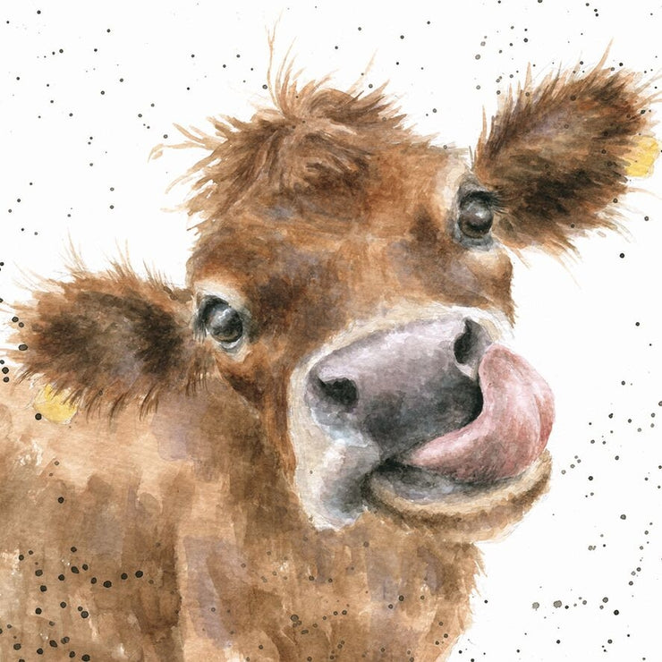 Moooo