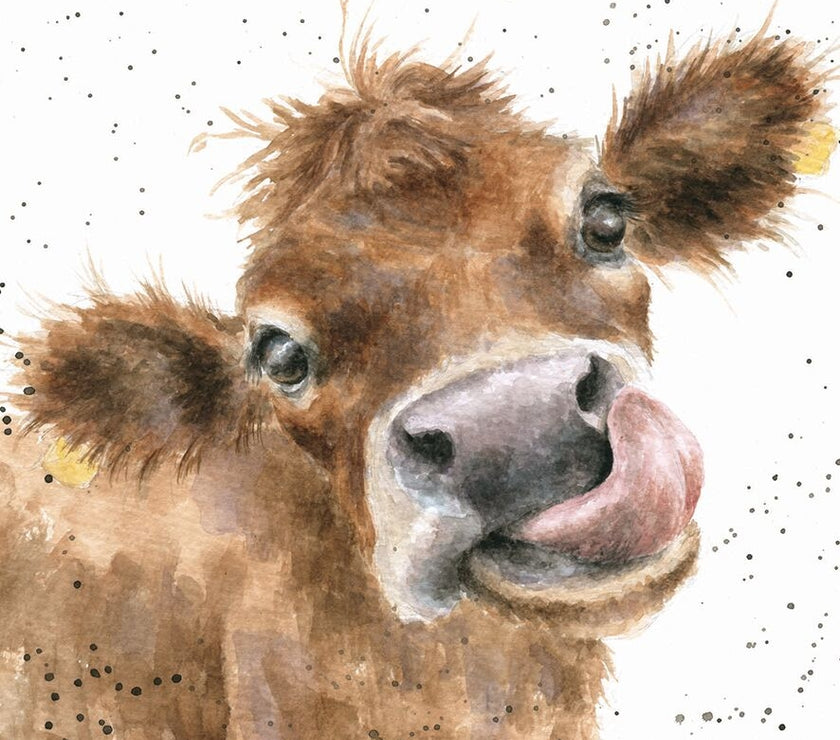 Moooo