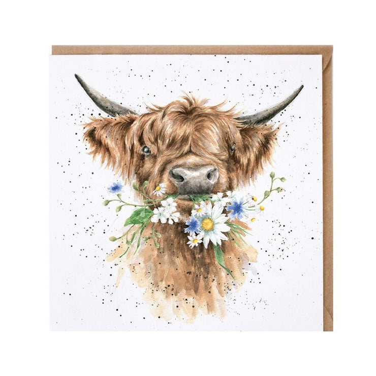 Daisy Coo