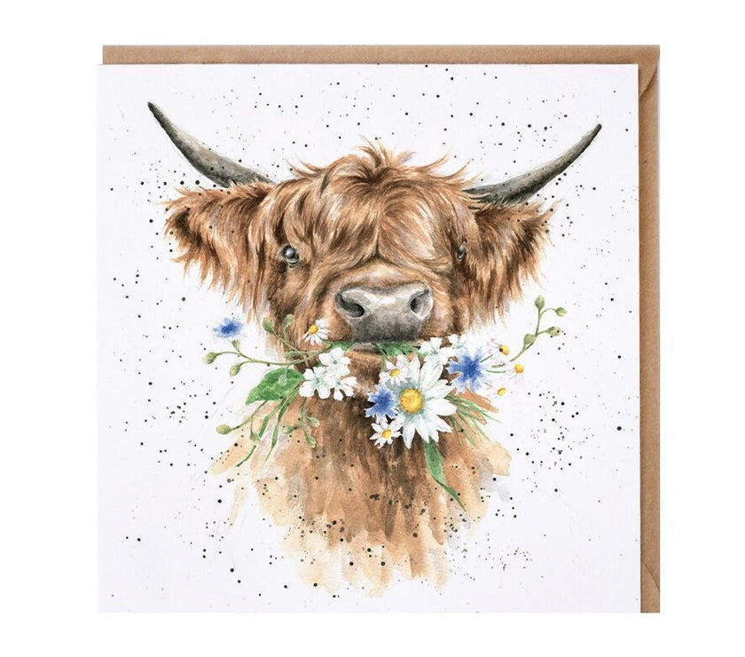 Daisy Coo