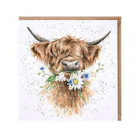 Daisy Coo