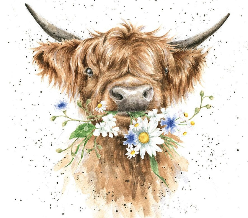 Daisy Coo