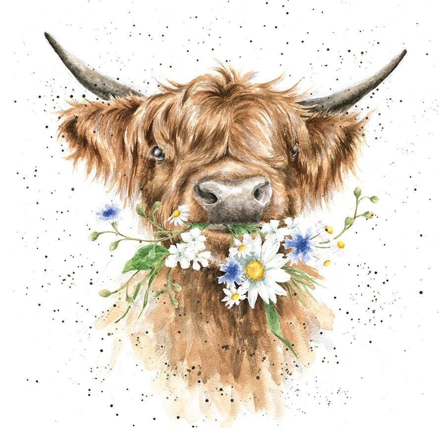 Daisy Coo