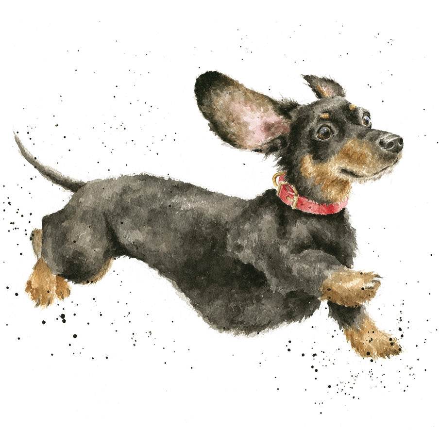 That Friday Feeling - House of Cards