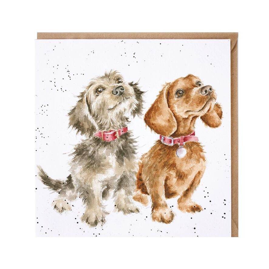 Treat Time Puppies Greeting Card - House of Cards