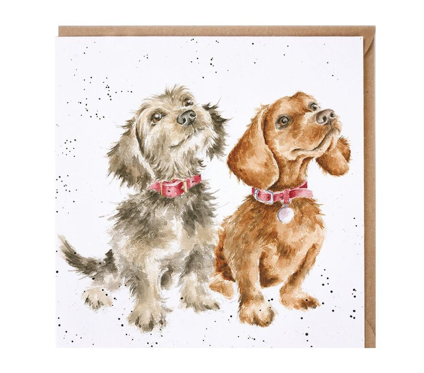 Treat Time Puppies Greeting Card