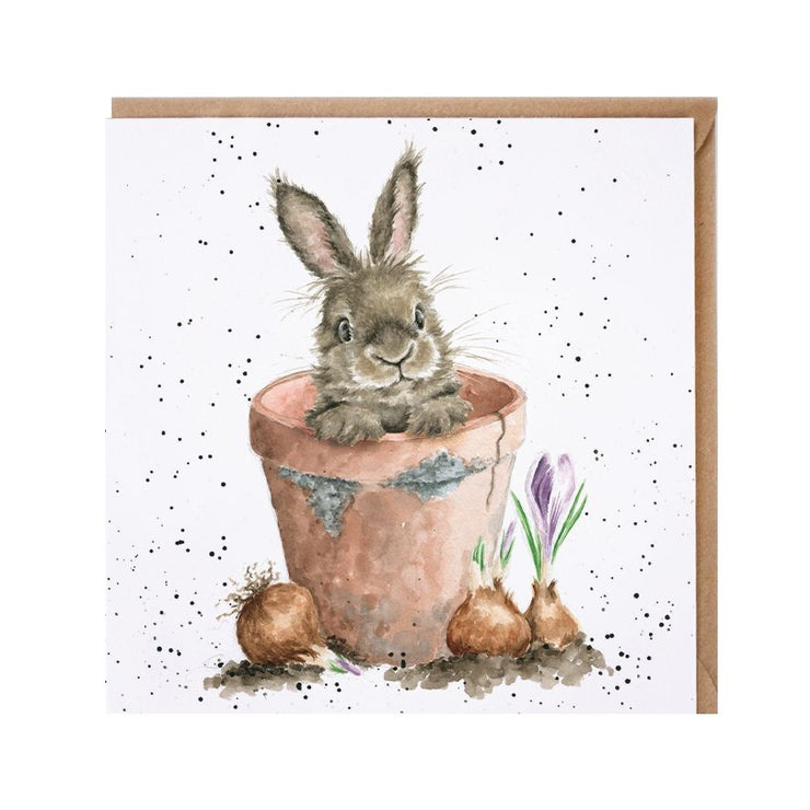 The Flower Pot Greeting Card