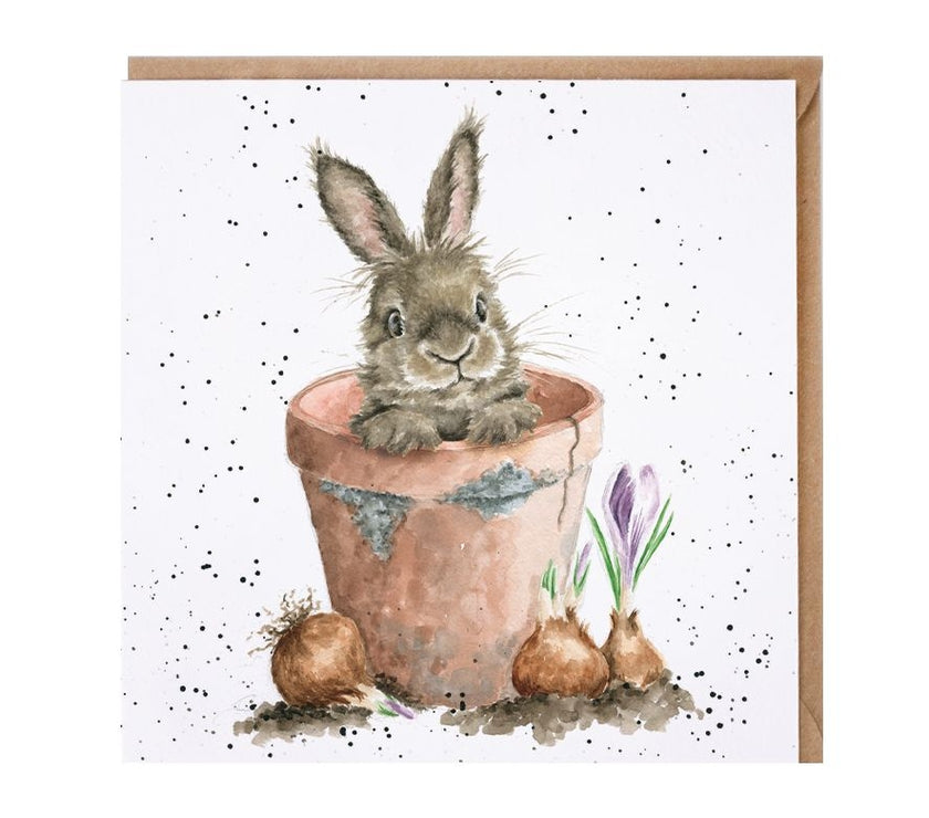 The Flower Pot Greeting Card