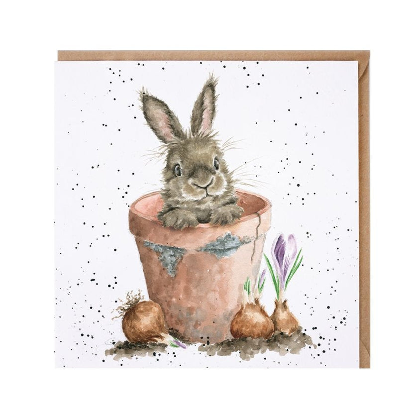 The Flower Pot Greeting Card
