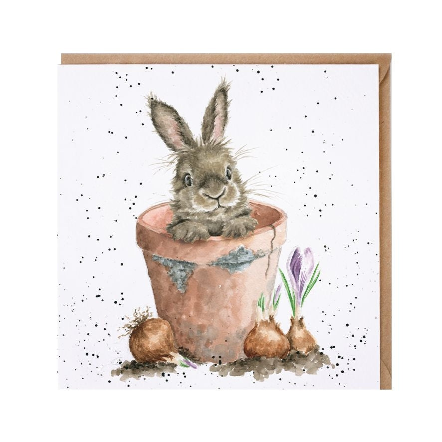 The Flower Pot Greeting Card