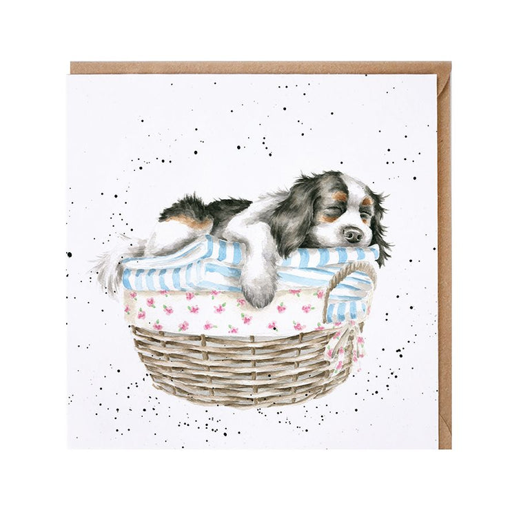 Wash Dry Fold Repeat Greetings Card