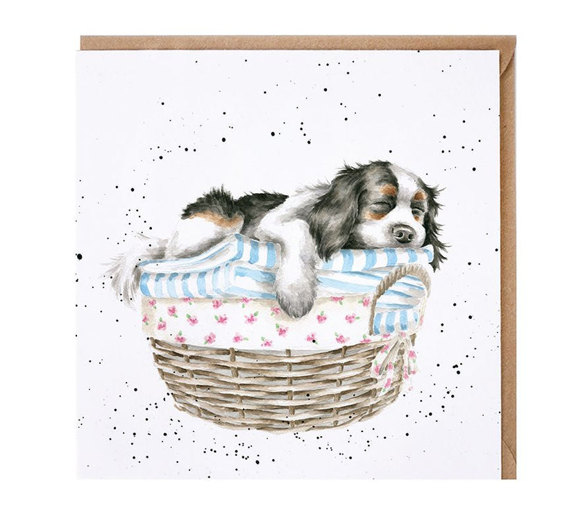 Wash Dry Fold Repeat Greetings Card