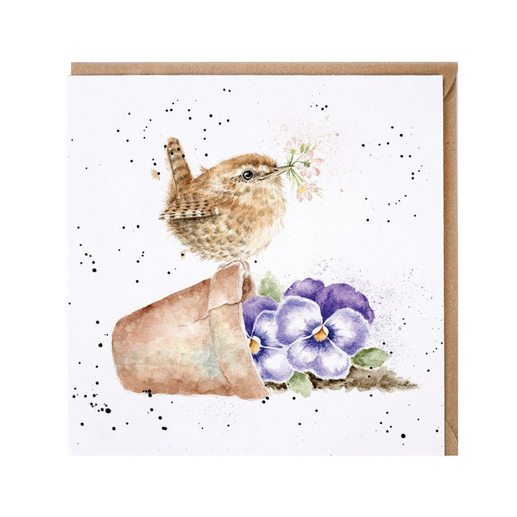 Flower Pot Wren Greetings Card