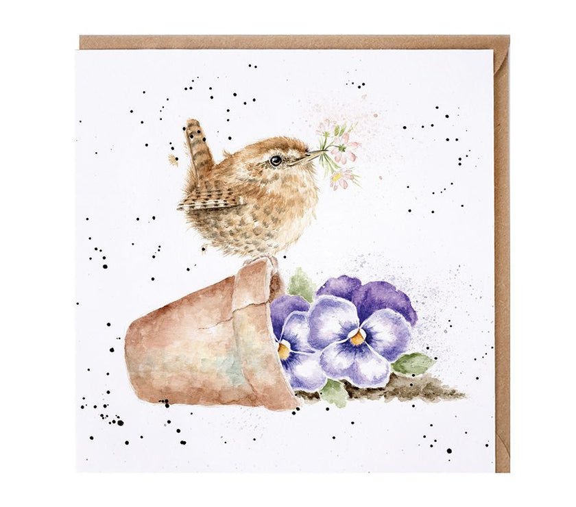 Flower Pot Wren Greetings Card