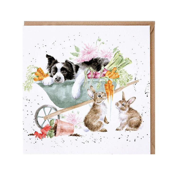 Sleeping on the Job Birthday Card