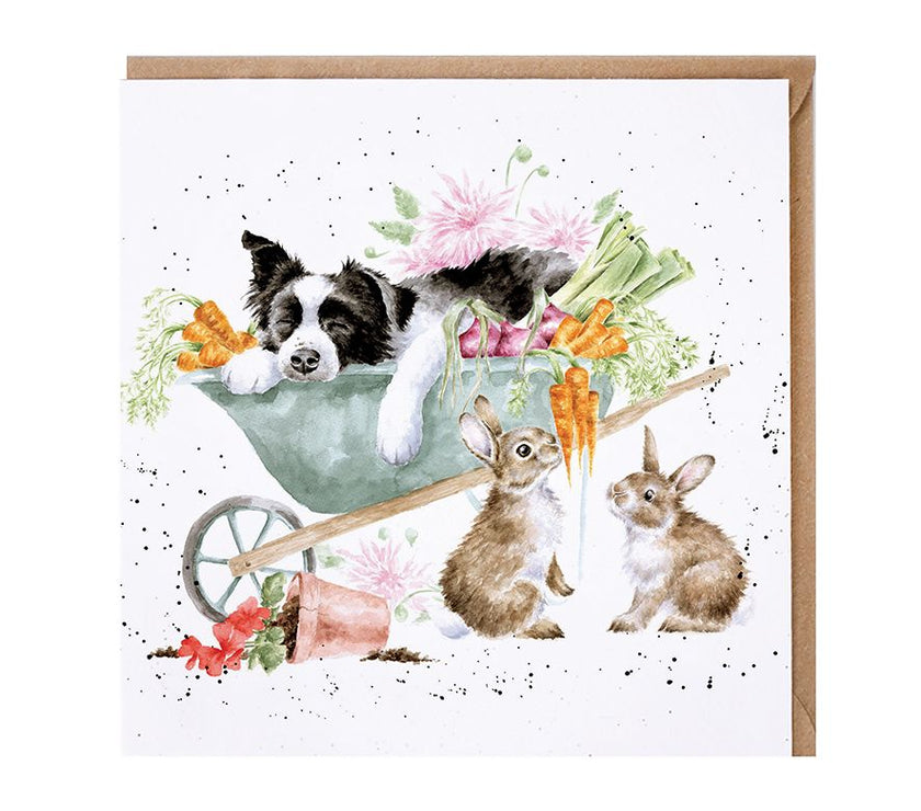 Sleeping on the Job Birthday Card