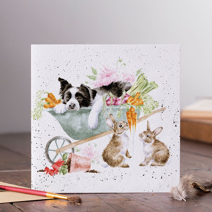 Sleeping on the Job Birthday Card