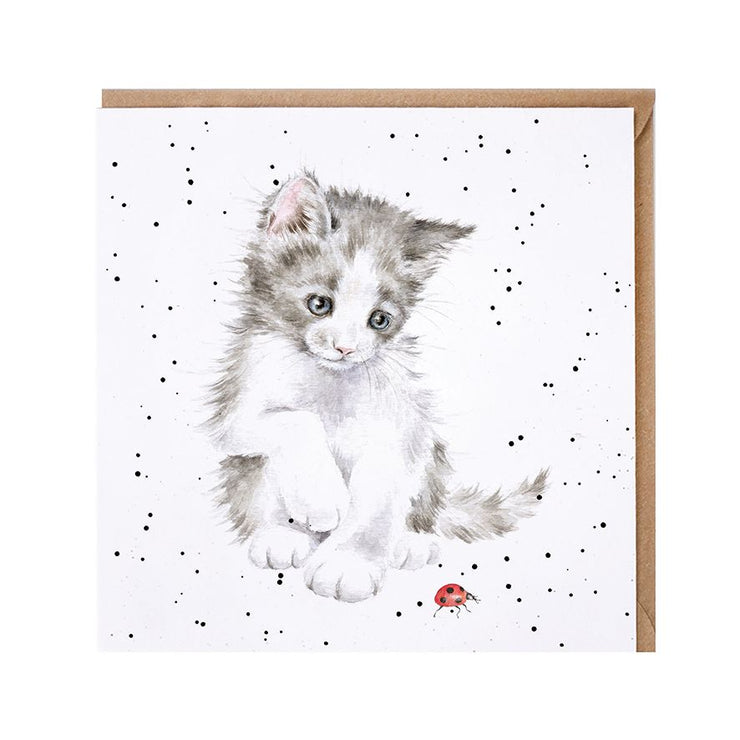 Ladybird Birthday Card