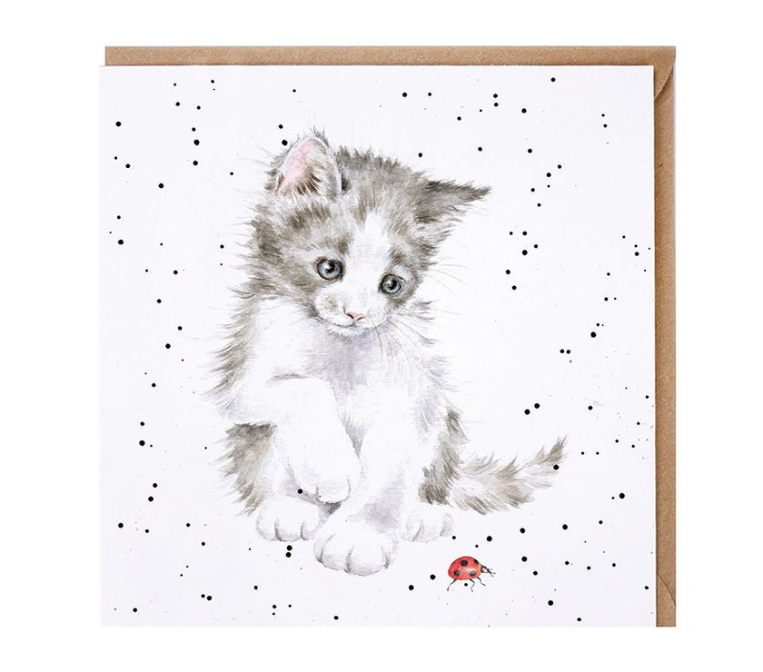 Ladybird Birthday Card