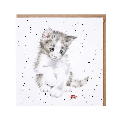 Ladybird Birthday Card