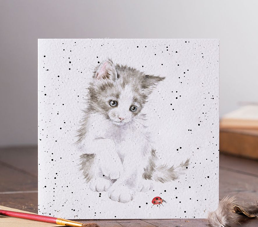Ladybird Birthday Card