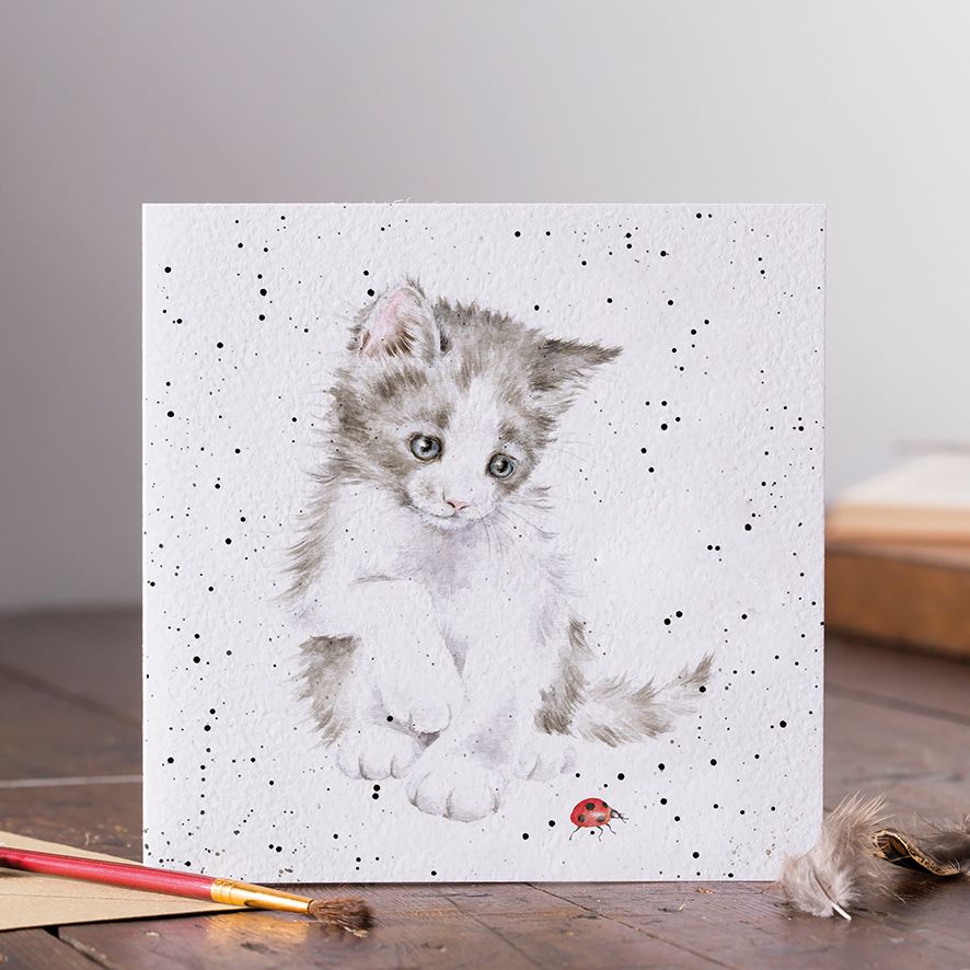 Ladybird Birthday Card