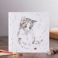 Ladybird Birthday Card