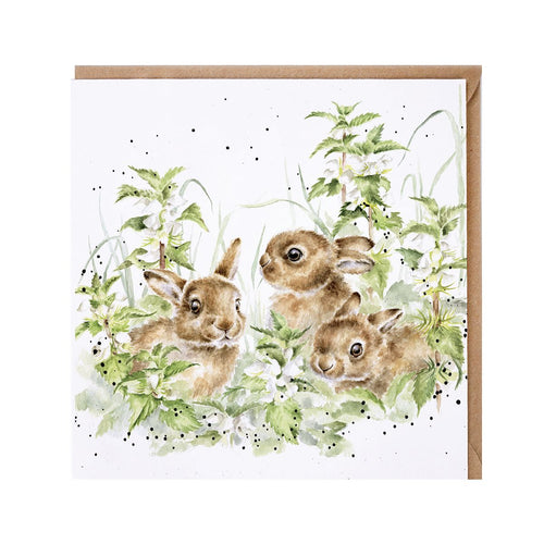 Spring Hares Card
