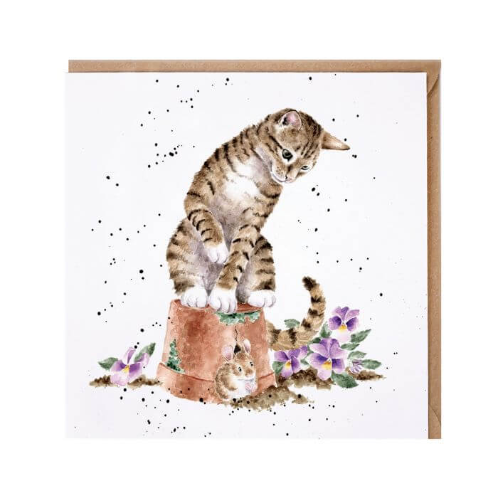 Hide and Squeak Birthday Card
