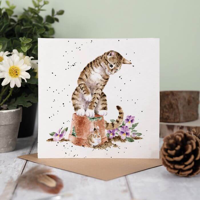 Hide and Squeak Birthday Card - House of Cards