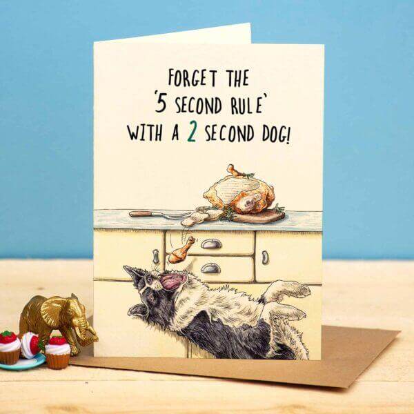 5 Second Rule Birthday Card - House of Cards