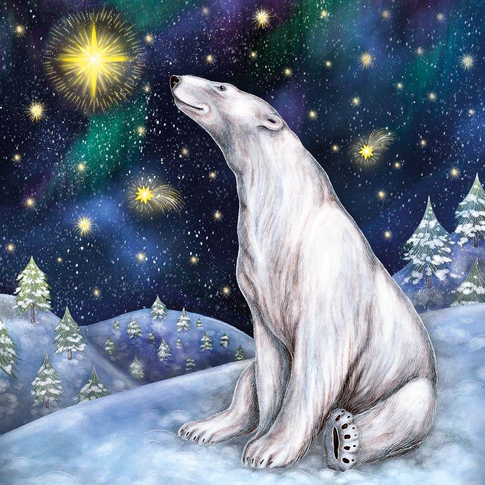 Starry Night Polar Bear Christmas Cards - House of Cards