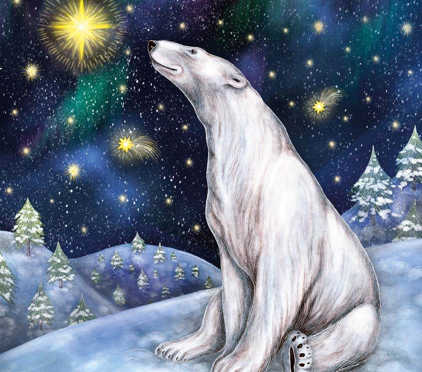 Starry Night Polar Bear Christmas Cards - House of Cards