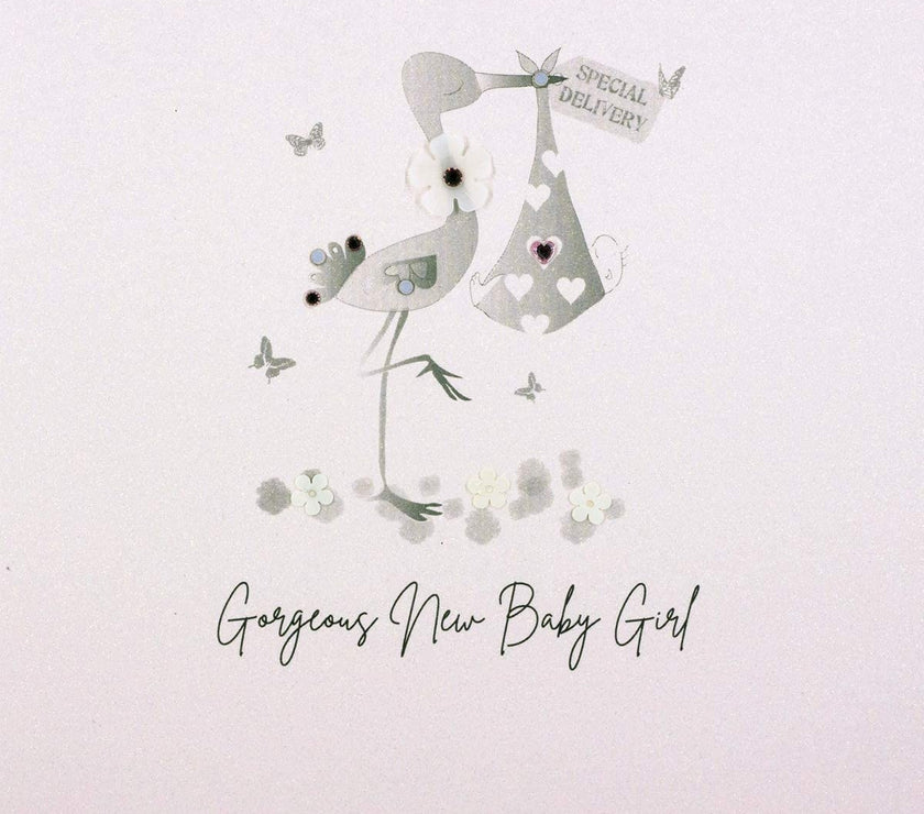Stork Gorgeous New Baby Girl Card