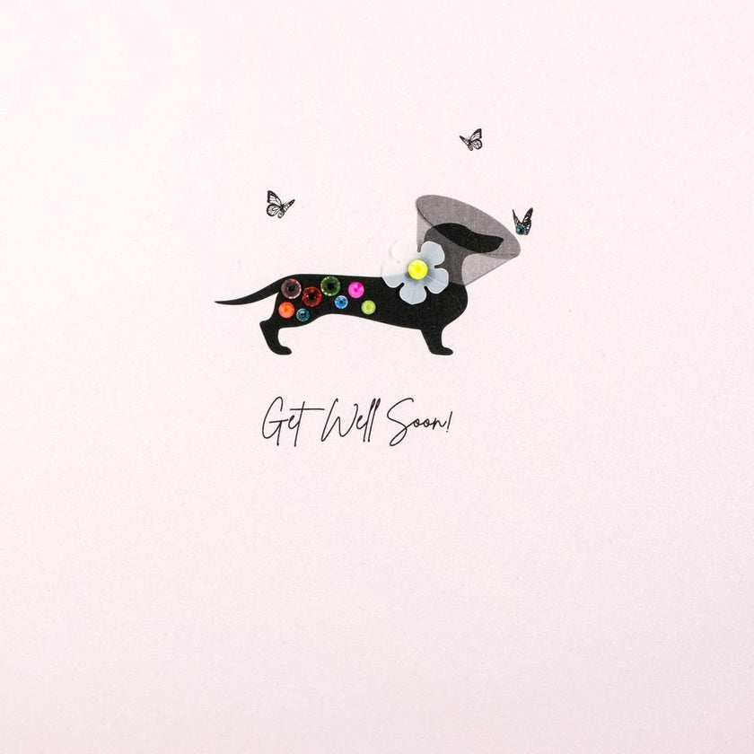 Dachshund Get Well Soon Card