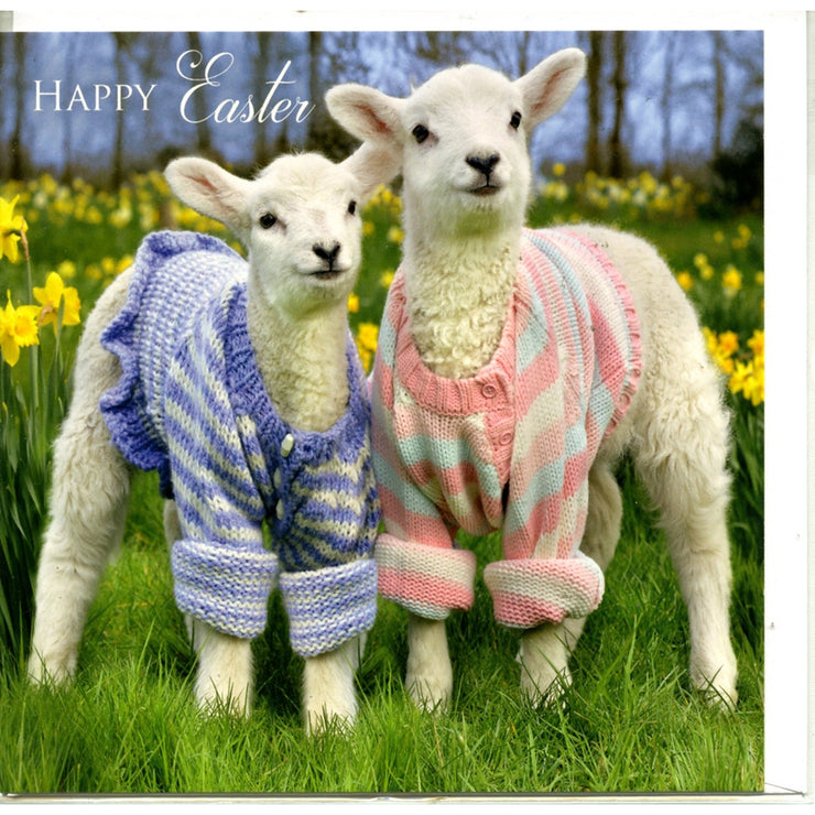 Lambs in Jumpers Easter Card
