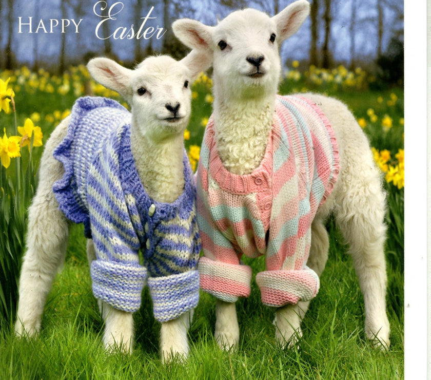 Lambs in Jumpers Easter Card