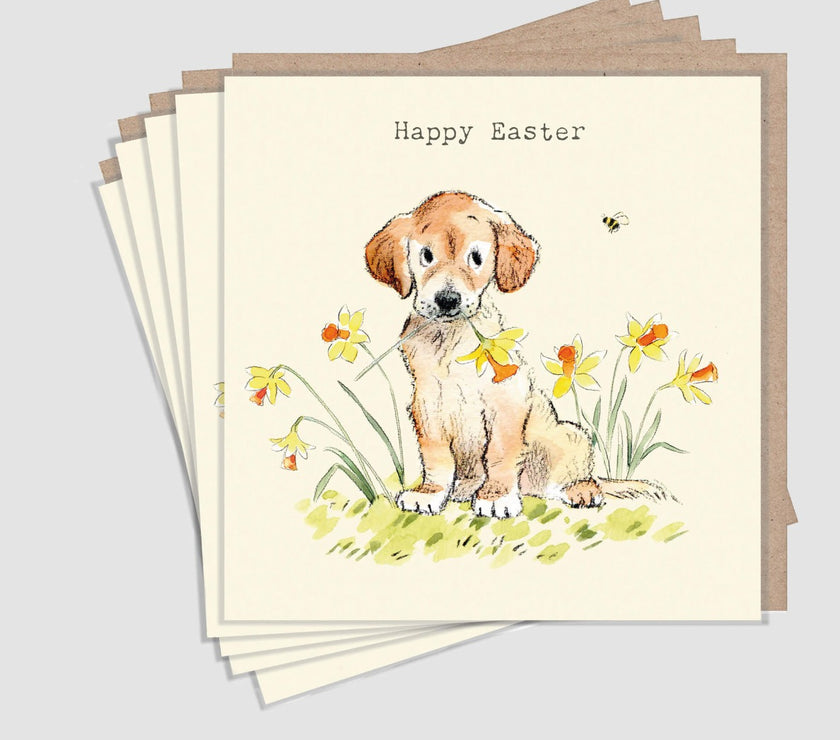 Dog Easter Cards