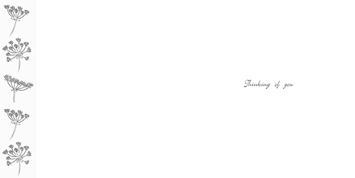 Ella Bella Rose With Sympathy Card - House of Cards