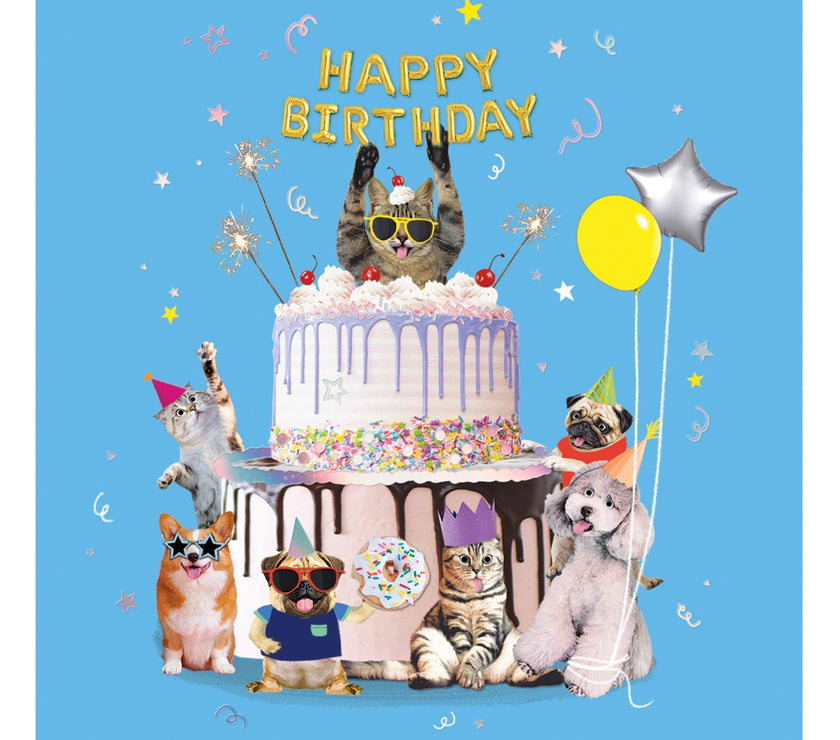 Cats and Dogs Cake Birthday Card