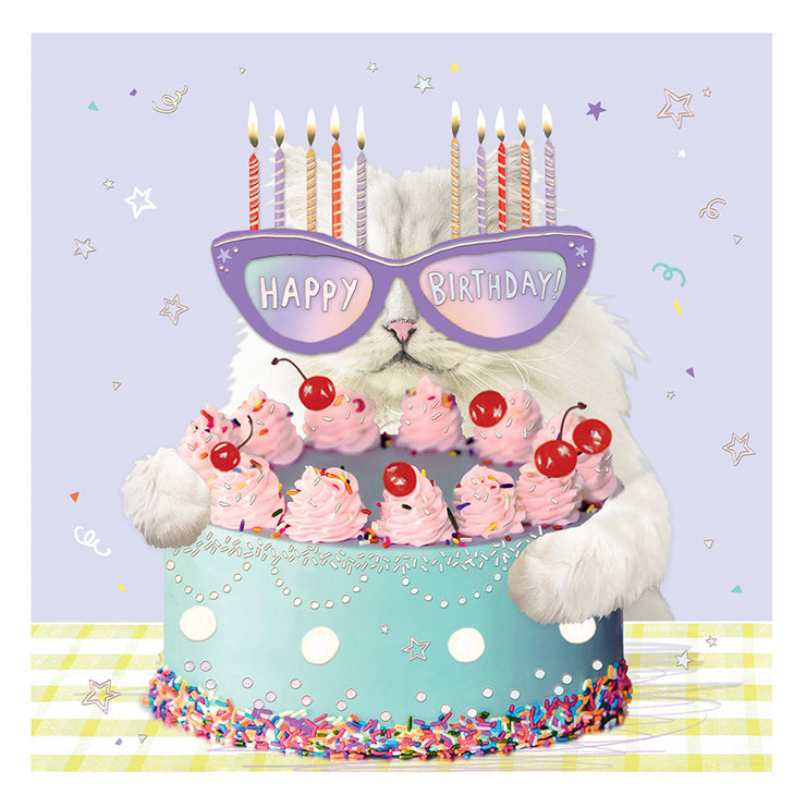 Cat and Cake Birthday Card