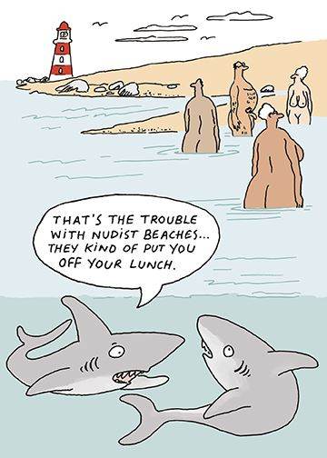 Sharks Birthday Card - House of Cards